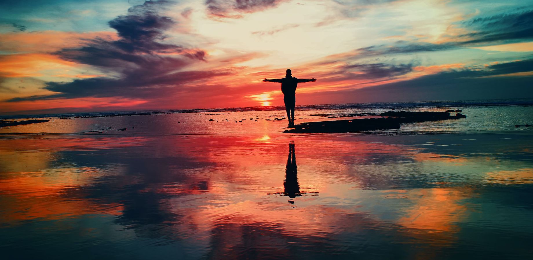 Why Oils Heal and Drugs Don't