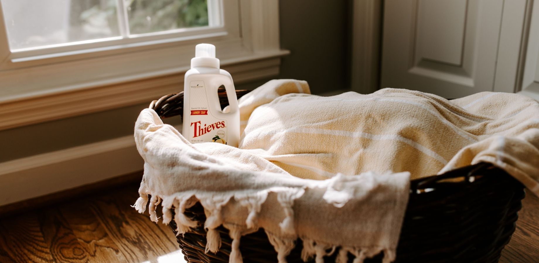 The Case for Thieves vs. Windex™ - Volume 8, Number 6