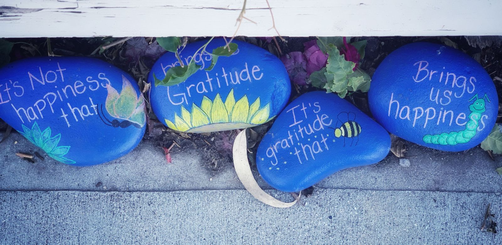 Developing Gratitude for All Around Success Raindrop Messenger November 2023 be9046f9