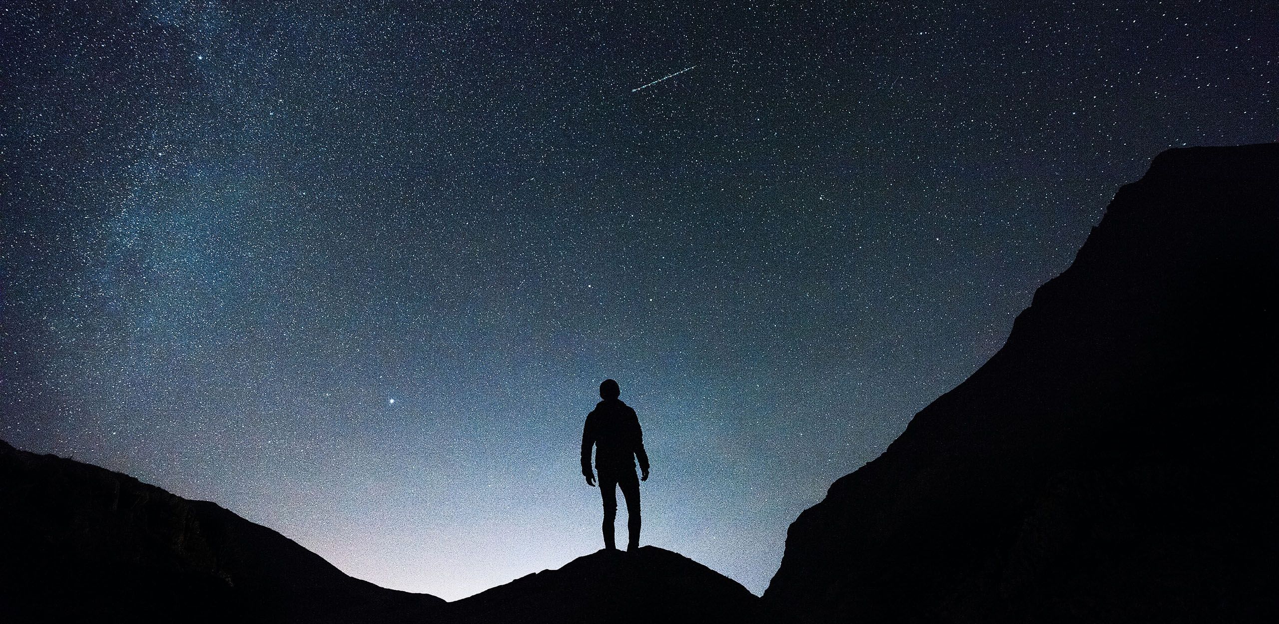 Identifying the Right Body System with Essential Oils - Volume 7, Number 4