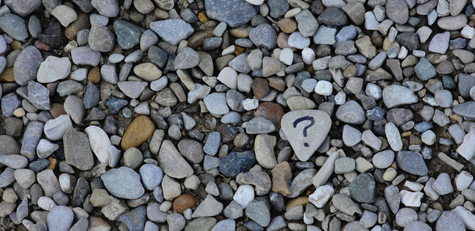 Twelve Questions to Ask Those Who Invite You to Join Another Company - Volume 6, Number 4