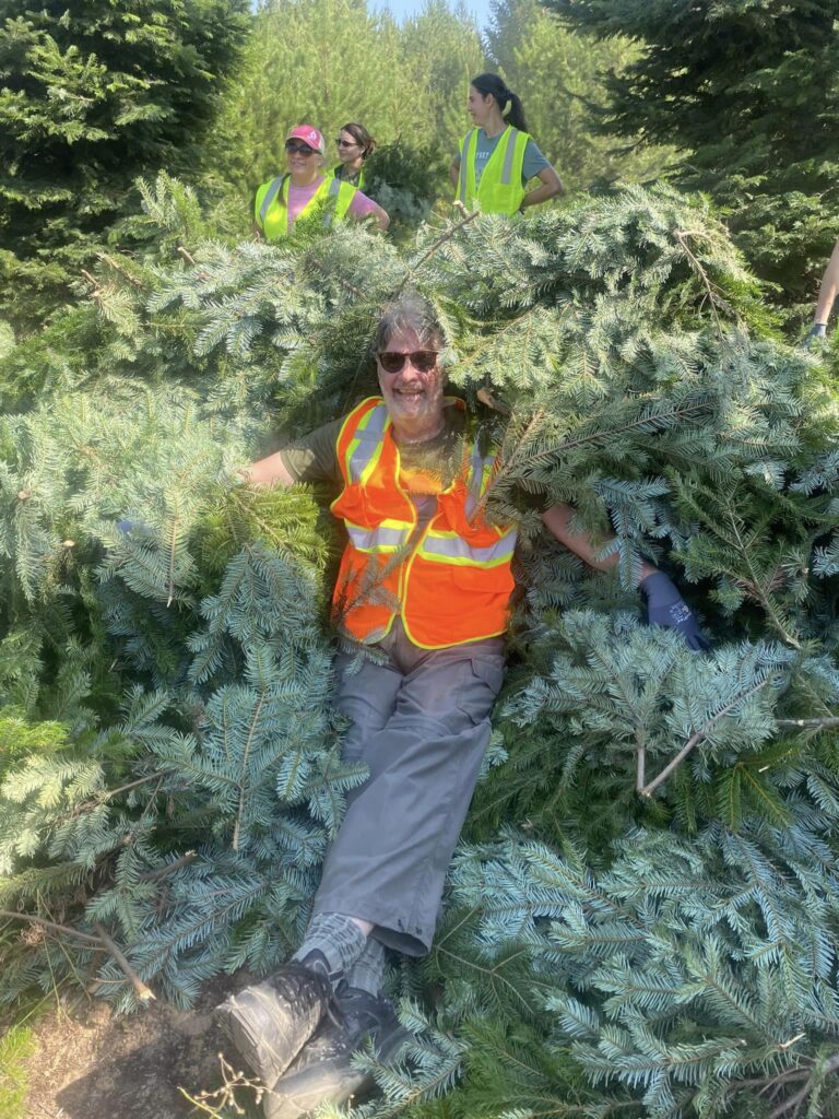 11. Robert Teasdale laying on a comfy pile of Grand Fir