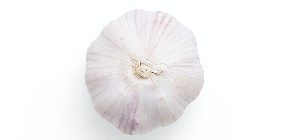 Garlic Raindrop Messenger November 2023