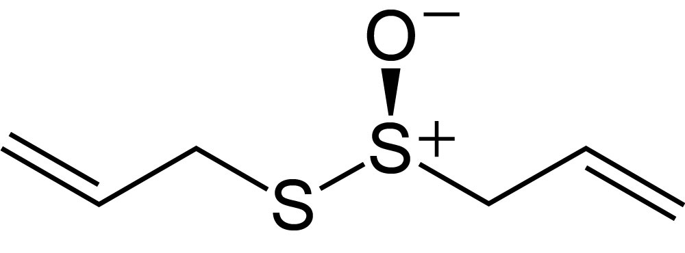 R allicin 2D skeletal Raindrop Messenger November 2023