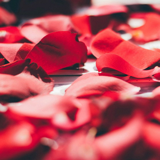 A Rose by Any Other Name Raindrop 1 Messenger February 2024