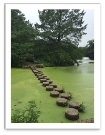 Picture3 Karen Birdsall FCCI LMT BCTMB